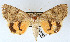  ( - AOCLep03456)  @11 [ ] Copyright (2025) A.S. Ortiz Unspecified