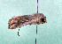  ( - AOCLep03463)  @11 [ ] Copyright (2025) A.S. Ortiz Unspecified