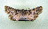  ( - AOCLep03480)  @11 [ ] Copyright (2025) A.S. Ortiz Unspecified