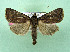 ( - AOCLep03510)  @11 [ ] Copyright (2025) A.S. Ortiz Unspecified