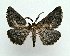  ( - AOC Lep 01420)  @11 [ ] Unspecified (default): All Rights Reserved  Unspecified Unspecified