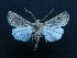  ( - AOC Lep 01436)  @11 [ ] Unspecified (default): All Rights Reserved  Unspecified Unspecified