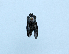  ( - AOC Lep 01504)  @11 [ ] Unspecified (default): All Rights Reserved  Unspecified Unspecified