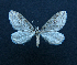  ( - AOC Lep 01515)  @11 [ ] Unspecified (default): All Rights Reserved  Unspecified Unspecified