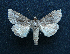  ( - AOC Lep 01516)  @11 [ ] Unspecified (default): All Rights Reserved  Unspecified Unspecified