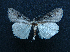  ( - AOC Lep 01517)  @11 [ ] Unspecified (default): All Rights Reserved  Unspecified Unspecified