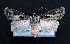  ( - AOC Lep 01523)  @11 [ ] Copyright (2020) Unspecified Unspecified