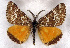  ( - AOC Lep 01527)  @11 [ ] Copyright (2020) Unspecified Unspecified