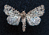  ( - AOC Lep 01583)  @11 [ ] Copyright (2020) Unspecified Unspecified