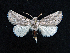  ( - AOC Lep 01600)  @11 [ ] Copyright (2020) Unspecified Unspecified