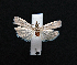  ( - AOC Lep 01612)  @11 [ ] Copyright (2020) Unspecified Unspecified