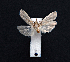  ( - AOC Lep 01613)  @11 [ ] Copyright (2020) Unspecified Unspecified