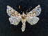  ( - AOC Lep 01656)  @11 [ ] Copyright (2020) A.S. Ortiz Unspecified