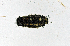  ( - AOC Lep 01708)  @11 [ ] Copyright (2020) A.S. Ortiz Unspecified