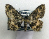  ( - AOC Lep 01779)  @11 [ ] Copyright (2021) A.S. Ortiz Unspecified