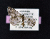  ( - AOC Lep 01833)  @11 [ ] Copyright (2021) A.S. Ortiz Unspecified