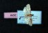 ( - AOC Lep 01882)  @11 [ ] Copyright (2021) A.S. Ortiz Unspecified