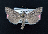  ( - AOC Lep 02026)  @11 [ ] Copyright (2021) A.S. Ortiz Unspecified