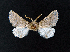  ( - AOC Lep 02304)  @11 [ ] Copyright (2022) A.S. Ortiz Unspecified