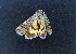  ( - AOC Lep 02320)  @11 [ ] Copyright (2022) A.S. Ortiz Unspecified