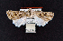  ( - AOC Lep 02350)  @11 [ ] Copyright (2022) A.S. Ortiz Unspecified