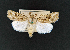  ( - AOC Lep 02353)  @11 [ ] Copyright (2022) A.S. Ortiz Unspecified
