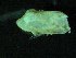  ( - ZMBN_139740)  @11 [ ] Creative Commons BY NC SA (2021) University of Bergen Natural History Collections