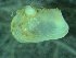  ( - ZMBN_139747)  @11 [ ] Creative Commons BY NC SA (2021) University of Bergen Natural History Collections