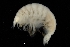  ( - ZMBN_155205)  @11 [ ] Creative Commons BY SA (2024) University of Bergen Natural History Collections