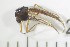  ( - NI Chi 10)  @11 [ ] CreativeCommons - Attribution Non-Commercial Share-Alike (2017) Agnes-Katharina Kreiling Holar University