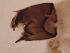 ( - HU Chi 3)  @11 [ ] CreativeCommons - Attribution Non-Commercial Share-Alike (2018) Agnes-Katharina Kreiling Holar University