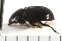  ( - Hcmisc-032)  @12 [ ] CreativeCommons - Attribution (2008) Unspecified Centre for Biodiversity Genomics