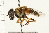  ( - Hcmisc-007)  @13 [ ] CreativeCommons - Attribution (2009) Unspecified Centre for Biodiversity Genomics