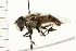  ( - Hcmisc-008)  @13 [ ] CreativeCommons - Attribution (2009) Unspecified Centre for Biodiversity Genomics