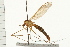  ( - Hcmisc-095)  @14 [ ] CreativeCommons - Attribution (2009) Unspecified Centre for Biodiversity Genomics