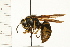  ( - Hcmisc-067)  @11 [ ] CreativeCommons - Attribution (2008) Unspecified Centre for Biodiversity Genomics