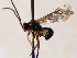  ( - FICH-001754)  @12 [ ] CreativeCommons - Attribution Non-Commercial (2016) Marko Mutanen University of Oulu