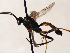  ( - FICH-001851)  @13 [ ] CreativeCommons - Attribution Non-Commercial (2016) Marko Mutanen University of Oulu