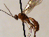  ( - FICH-001889)  @12 [ ] CreativeCommons - Attribution Non-Commercial (2016) Marko Mutanen University of Oulu