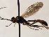  ( - FICH-001901)  @14 [ ] CreativeCommons - Attribution Non-Commercial (2016) Marko Mutanen University of Oulu