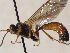  ( - FICH-001912)  @12 [ ] CreativeCommons - Attribution Non-Commercial (2016) Marko Mutanen University of Oulu