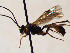  ( - FICH-001925)  @12 [ ] CreativeCommons - Attribution Non-Commercial (2016) Marko Mutanen University of Oulu