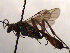  ( - FICH-001929)  @11 [ ] CreativeCommons - Attribution Non-Commercial (2016) Marko Mutanen University of Oulu