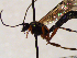  ( - FICH-001965)  @13 [ ] CreativeCommons - Attribution Non-Commercial (2016) Marko Mutanen University of Oulu