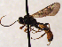  ( - FICH-002015)  @13 [ ] CreativeCommons - Attribution Non-Commercial (2016) Marko Mutanen University of Oulu
