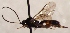 ( - FICH-002058)  @14 [ ] CreativeCommons - Attribution Non-Commercial (2016) Marko Mutanen University of Oulu