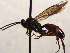  ( - FICH-002107)  @13 [ ] CreativeCommons - Attribution Non-Commercial (2016) Marko Mutanen University of Oulu