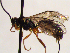  ( - FICH-002148)  @12 [ ] CreativeCommons - Attribution Non-Commercial (2016) Marko Mutanen University of Oulu