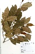  ( - GH0064)  @11 [ ] No Rights Reserved  Unspecified Unspecified