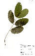  ( - GH0220)  @11 [ ] No Rights Reserved  Unspecified Unspecified